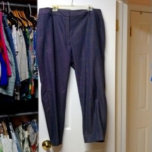 TALBOT Newport pants